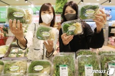 롯데마트, 미리 만나는 봄나물 달래·냉이