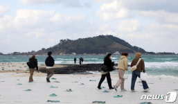 제주 겨울바다 산책