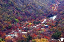 사계절 아름다운 내장산국립공원, ‘한국 관광 100선’ 선정