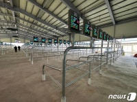 스마트폰으로 소 경매 보은 스마트 가축시장 임시개장