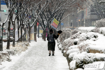 충북 최대 10 이상 폭설·한파…8곳 대설주의보(종합)