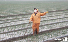 봄 가뭄, 여름 폭우, 겨울 먼지·한파…모두 이것 때문이었다