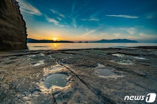 세계 3대 공룡 발자국 화석 산지 고성, 국가지질공원 되나