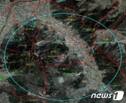 충남 아산 배방읍 소나무 3그루 재선충병 확진…송악면 이어 2번째