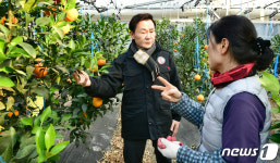 한라봉 수확농가 찾은 이남철 고령군수