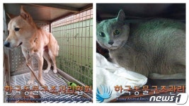 택시기사·동거녀 살해 이기영 집서 반려동물 4마리 구조…곧 입양공고