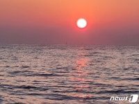 경포에서 고개 내민 첫 해