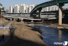 중심부 내려앉은 도림보도육교