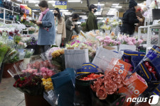 한파 잊은 꽃시장
