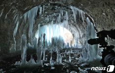 땅에서 자라는 역고드름…한파가 준 선물
