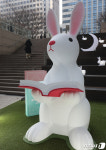 계묘년 새해 책 읽어요