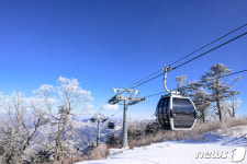 해발1381m 날아가듯 20분 만에 정선 가리왕산 케이블카…백두대간 ‘진풍경’