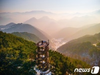 단양 소백산자연휴양림 사계절 치유·휴양의 행선지 주목