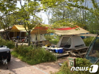 청주문암생태공원, 설연휴 정상 운영…반려견 놀이터 설 당일만 휴장