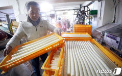 설 명절 앞두고 가래떡 뽑기에 분주한 방앗간