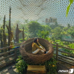 저도 콰이강의 다리·거제 식물원…설 연휴 가볼만한 경남 관광지 5곳