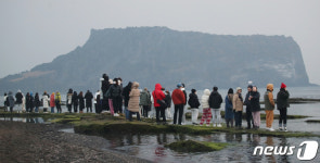 되풀이되는 제주와 흑염소 악연…성산일출봉부터 산방산까지