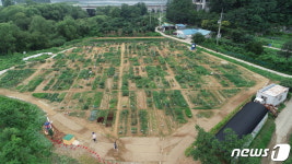 용인시, 공세동 시민농장 텃밭 가꿀 800팀 모집…분양 수 작년 2배↑