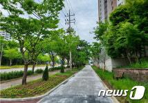 광주시 올해 도시숲 38곳 조성…국비 등 113억 투입