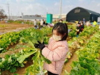 교외 텃밭 필요하신가요? 서울시 친환경농장 선착순 모집