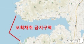 60년 만에 곰소만·금강하구 수산물 포획금지 구역 해제 추진