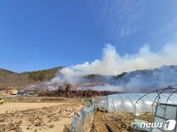 함안 대산면 야산서 불…대응 1단계 진화 중