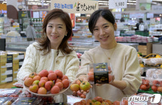 농협유통, 대저 짭짤이 토마토 판매