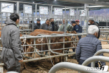 공주시, 축사·공장 악취저감 지원…최대 3500만원까지