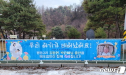 우리 아기가 태어났어요 현수막…단양 매포읍 인구늘리기 시책 눈길