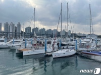 권리금 수억에 불법 거래…수영만 요트경기장 자리 하늘의 별따기