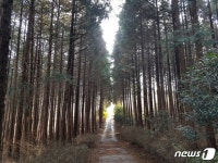 사천시, 바다케이블카 자연휴양림에 목재문화체험장 조성