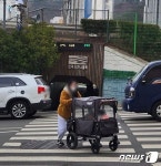 [르포] 스쿨존인데도 차량 쌩쌩…경찰은 신호등 설치 요구 묵살