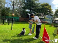 소노펫, 대회 출전할 어질리티 클럽 2기 모집