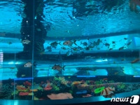 국립해양박물관 수족관 개편 완료…28일부터 공개