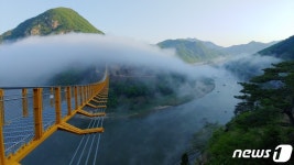 Naver хайлтын үр дүнгийн зураг 2