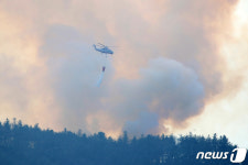 경산 남천리 산불 2시간50분 만에 진화…3㏊ 소실, 인명피해 없어(종합)