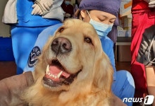 훈련사가 잡고 수의사는 수술…봉사도 손발 척척[최기자의 동행]