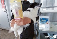 정읍시, 반려동물 중성화 수술비·등록비 지원…3억5천만원 투입