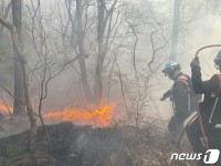 전남 장성에서 산불…진화 중