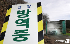 강화 토종닭 농장서 AI 검출…고병원성 여부 조사 중