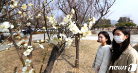 매화 향기 가득한 세종 호수공원