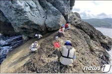 낚시하고 버린 납추·밑밥이 생태계 교란…거문도 갯바위 통제