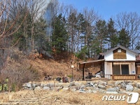 홍천 서면 개야리 야산서 산불…헬기 투입해 진화 중
