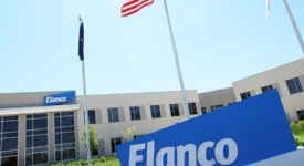 [가족의 발견(犬)]꽃피는 봄에 데리고 나갈게…약속 지킨 사람들