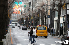 휴일에도 한산한 가로수길