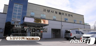 고양시 동물보호센터 4월부터 자원봉사 활동 재개
