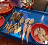 남해 활어센터 20여개 수족관 전기 코드 뽑아 물고기 떼죽음…30대 검거(종합)