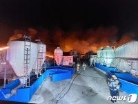 새벽 정읍 돼지농장서 불, 돼지 1900마리 불타…재산피해 12억3000만원