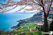 남해로 오시다 광역시티투어버스 전국서 달린다