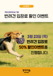 강아지숲, 국제 강아지의 날 기념 특별 이벤트 진행